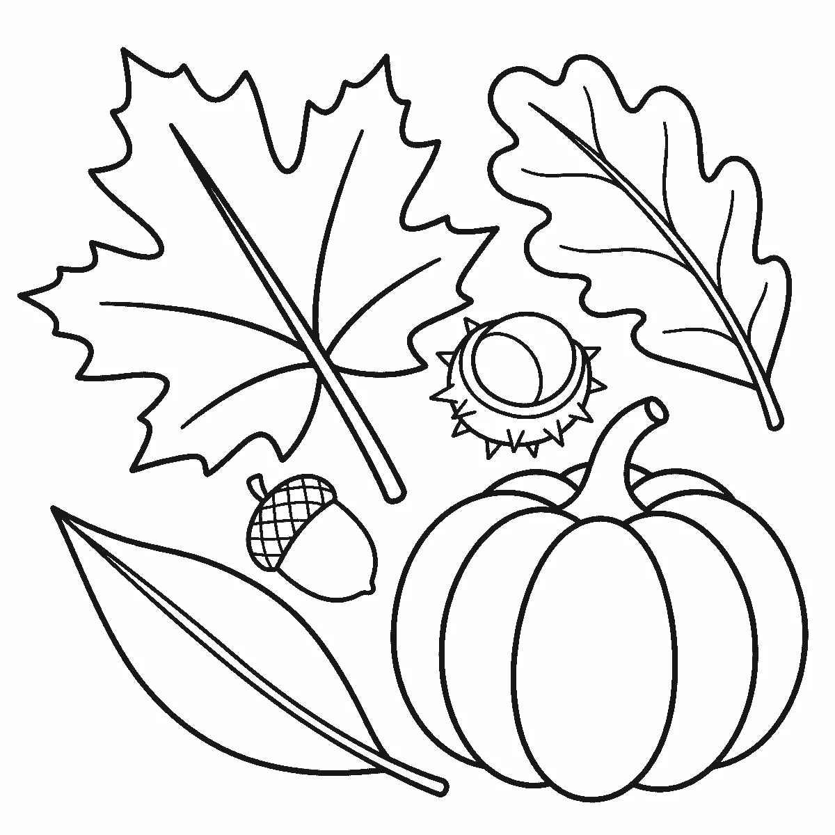 Ausmalbild dreier Herbstblätter, einer Eichel, einer aufgeplatzten Kastanienschale mit Kastanie und eines Kürbisses, schwarze Umrisslinien auf Weiß