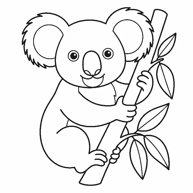 Ausmalbild eines Koalas an einem Ast mit zwei sehr großen runden Ohren, zwei runden Augen, großer Nase und Eukalyptusblättern, schwarze Umrisslinien auf Weiß