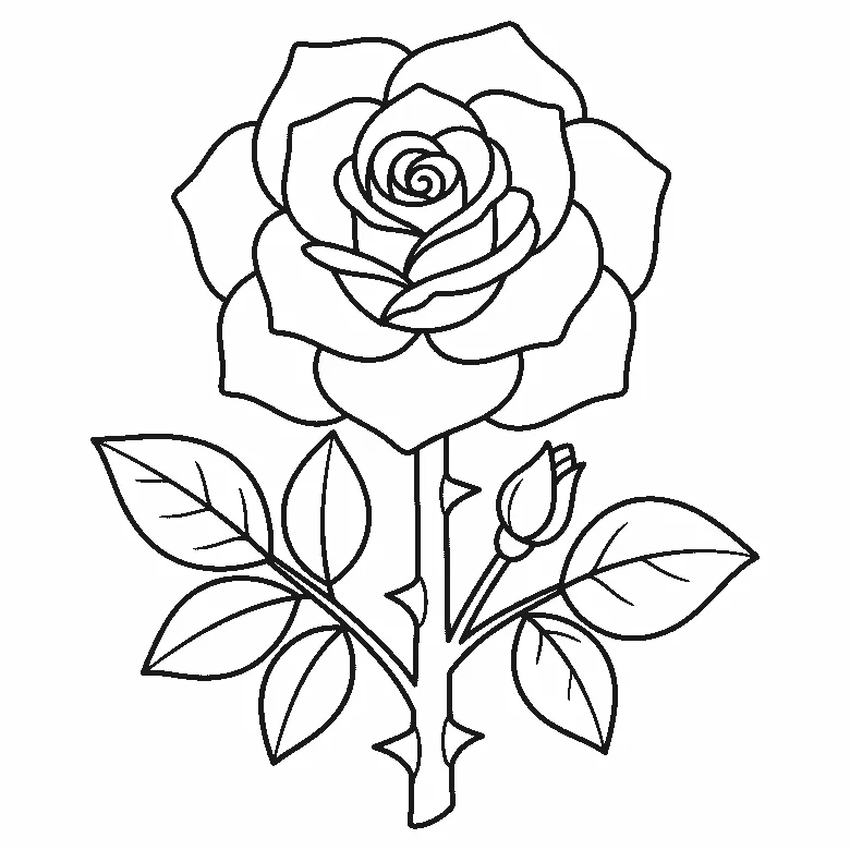 Ausmalbild einer einzelnen Rose mit offener Blüte um eine Spiralmitte, Stiel mit Dornen, zwei Blattgruppen und einer geschlossenen Knospe, schwarze Umrisslinien auf Weiß