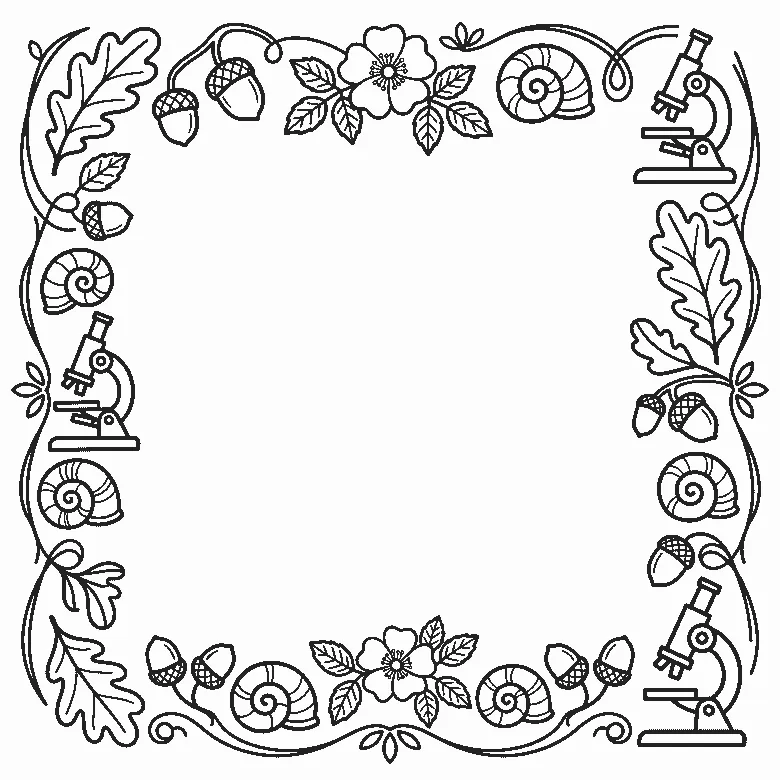 Deckblatt-Rahmen aus Blättern, Blüte, Mikroskop, Schnecke und Eichel, schwarze Umrisslinien auf Weiß