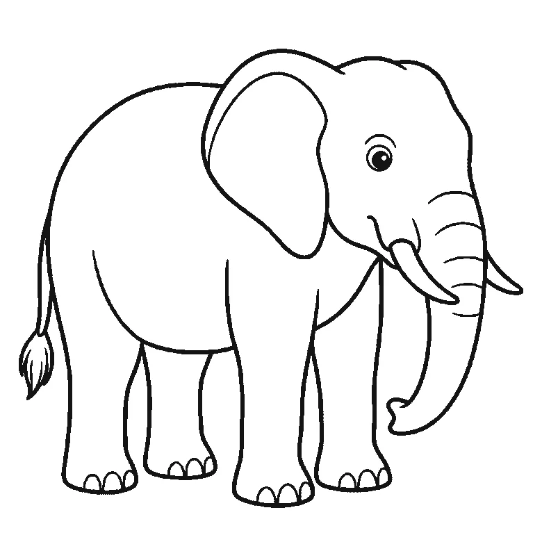 Schritt-für-Schritt-Blatt mit sechs nummerierten Feldern: ein stehender Elefant im Profil mit großem Ohr, langem Rüssel mit Querfalten, zwei Stoßzähnen, vier Säulenbeinen und einem Schwanz mit Quaste. Jedes Feld übernimmt die Linien des vorherigen und fügt neue hinzu, schwarze Linien auf weißem Grund.