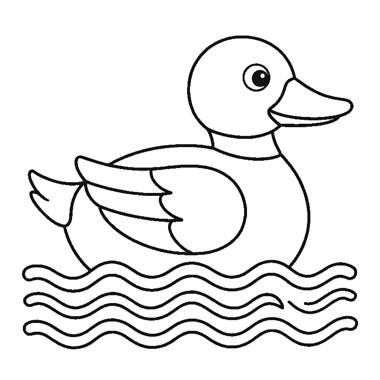 Schritt-für-Schritt-Blatt mit sechs nummerierten Feldern: eine schwimmende Ente im Profil mit rundem Kopf, breitem flachem Schnabel, angelegtem Flügel mit Federfeldern und Wellenlinien darunter. Jedes Feld übernimmt die Linien des vorherigen und fügt neue hinzu, schwarze Linien auf weißem Grund.