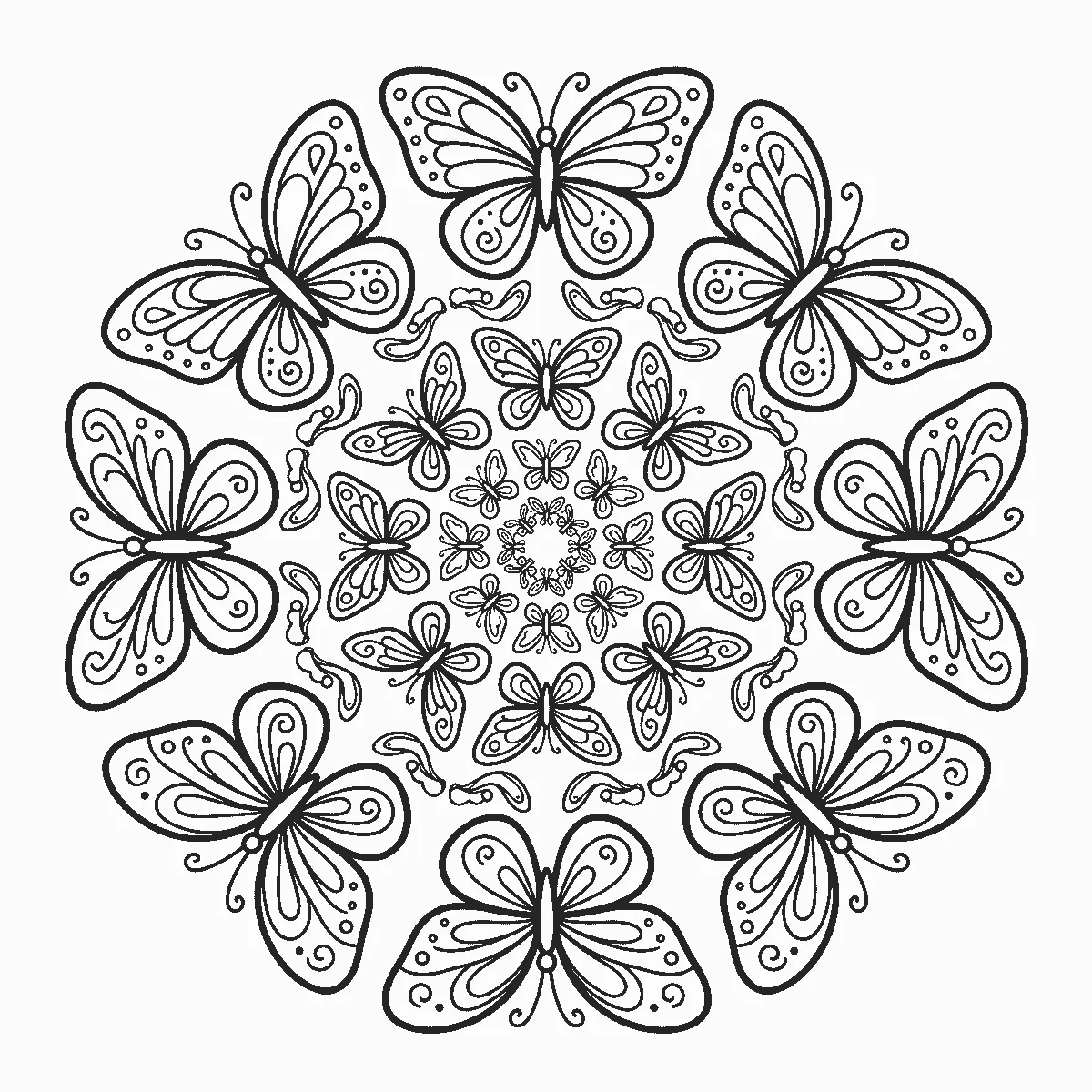 Mandala aus großen Schmetterlingsflügel-Formen in symmetrischem, rundem Aufbau, schwarze Umrisslinien auf Weiß