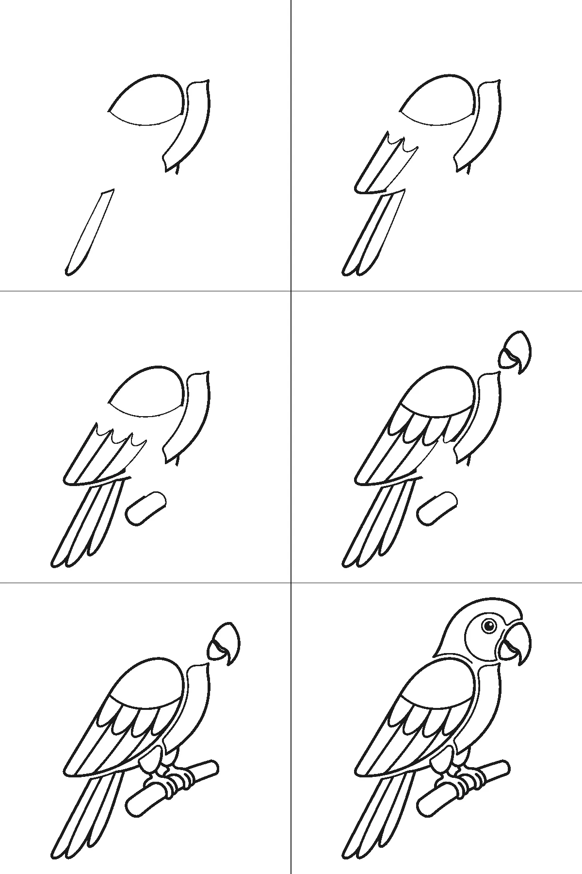 Schritt-für-Schritt-Blatt mit sechs nummerierten Feldern: ein Papagei im Profil auf einem kurzen Ast, mit gebogenem Hakenschnabel, rundem Wangenfeld, angelegtem Flügel mit Federfeldern und langen Schwanzfedern. Jedes Feld übernimmt die Linien des vorherigen und fügt neue hinzu, schwarze Linien auf weißem Grund.