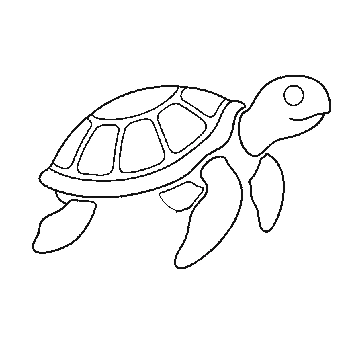 Schritt 5 von 6 — Zeichnung einer Schildkröte, schwarze Linien auf weißem Grund