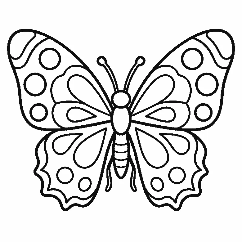 Schritt-für-Schritt-Blatt mit sechs nummerierten Feldern: ein Schmetterling von oben mit weit geöffneten, spiegelgleichen Flügeln voller runder und tropfenförmiger Musterflächen. Jedes Feld übernimmt die Linien des vorherigen und fügt neue hinzu, schwarze Linien auf weißem Grund.