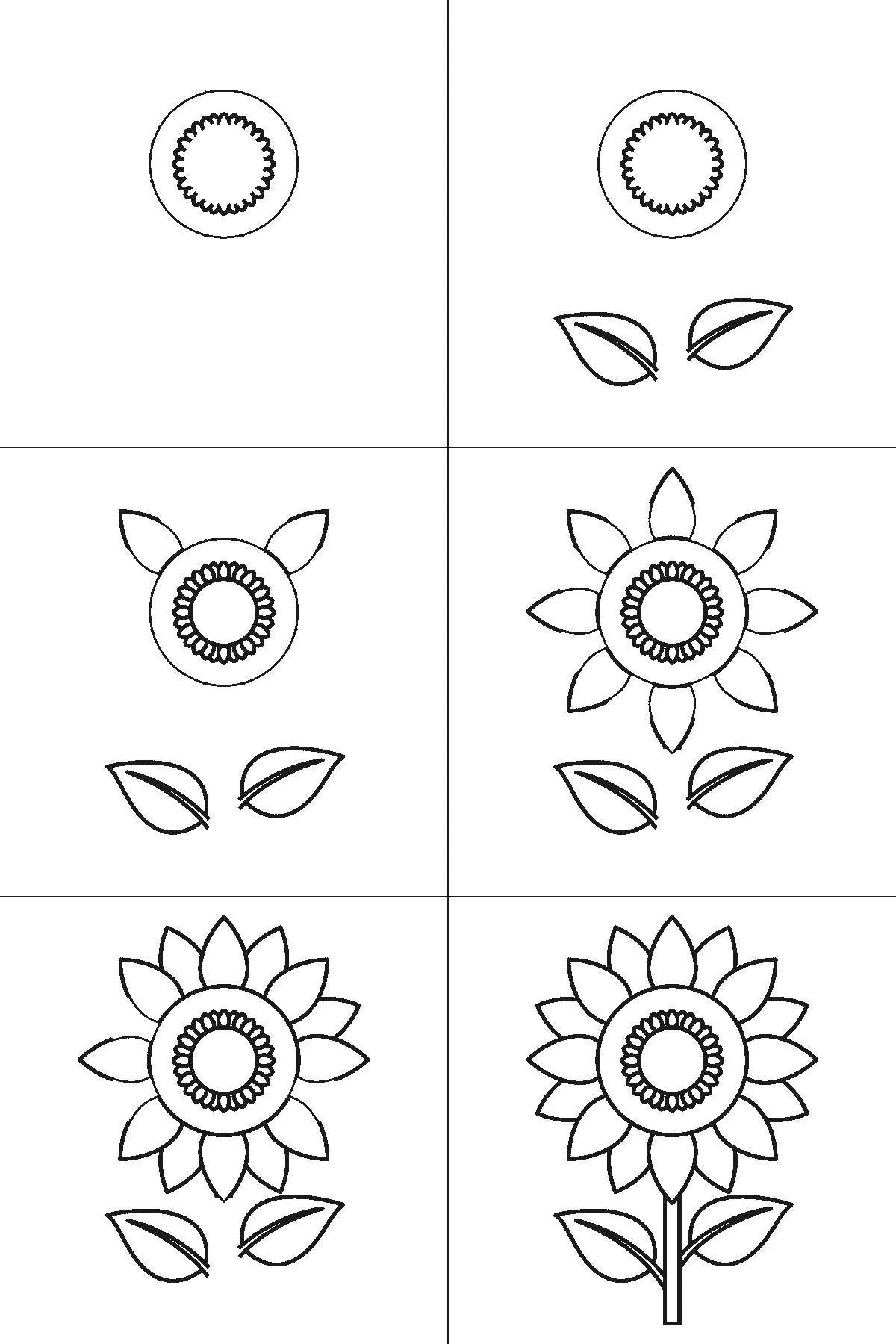 Schritt-für-Schritt-Blatt mit sechs nummerierten Feldern: eine Sonnenblume von vorn mit großer runder Mitte, innerem Samenring, einem Kranz spitzer Blütenblätter, geradem Stängel und zwei breiten Blättern mit Mittelrippe. Jedes Feld übernimmt die Linien des vorherigen und fügt neue hinzu, schwarze Linien auf weißem Grund.