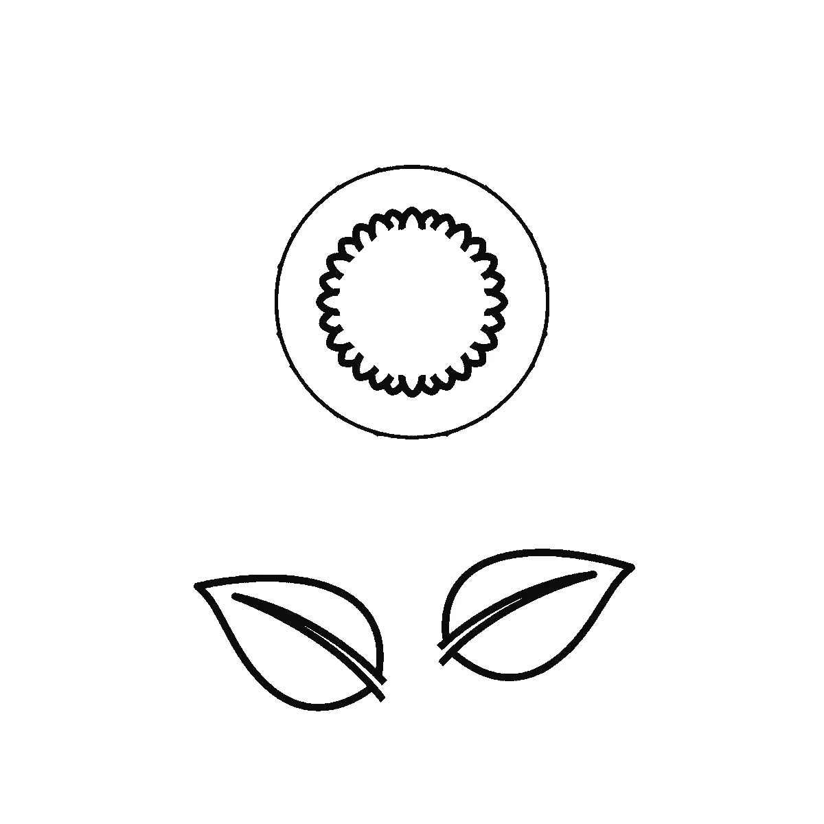 Schritt 2 von 6 — Zeichnung einer Sonnenblume, schwarze Linien auf weißem Grund